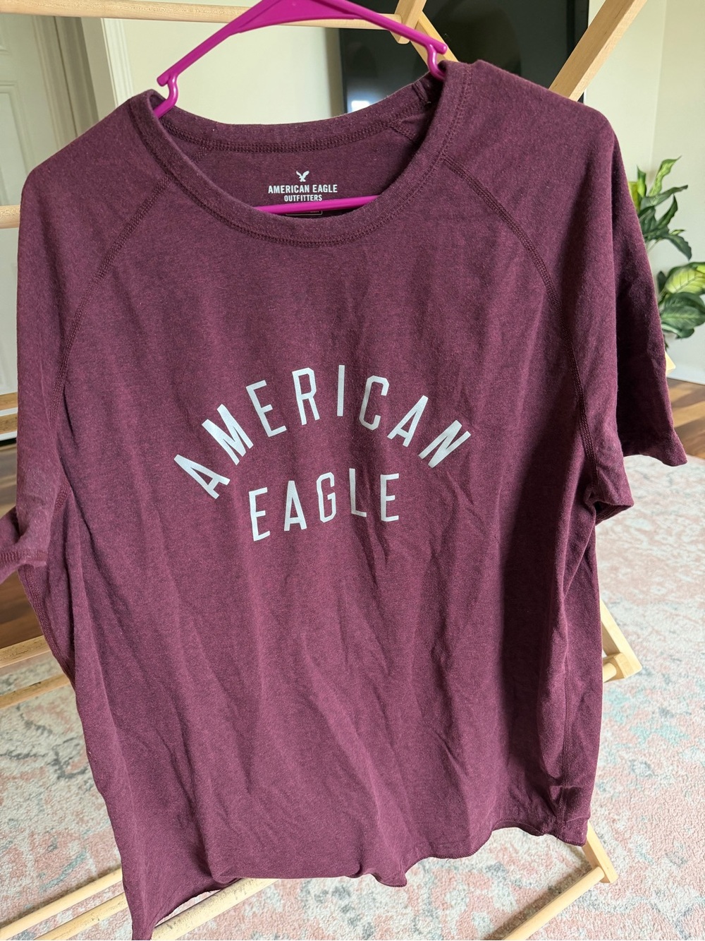 American Eagle Outfitters Maroon Graphic Crewneck Tee